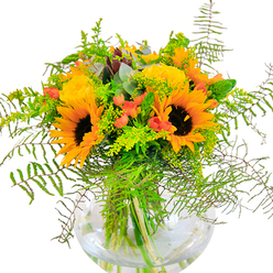 The impression given by this abundant bouquet is that of walking through Bayswater in late summer-every element radiates sun-drenched optimism and urban charm. Presented in a timeless, round glass vase, the arrangement showcases brilliant sunflowers as the focal point, each bloom's orange-yellow rays fanning outward like beams of afternoon light across Hyde Park. Tightly spiralled yellow garden roses bring a plush texture and gentle scent, reminiscent of the secluded gardens tucked behind the elegant facades on Leinster Square. Glossy red hypericum berries sparkle among the rich foliage, their festive hue adding bursts of excitement, not unlike the eclectic vibrancy seen on Moscow Road. Wispy sprigs of green fill the spaces, their delicate forms recalling the lush plantings along Bayswater's residential streets. Overarching eucalyptus and touches of goldenrod lend a rustic, aromatic finish. The vase itself highlights every submerged stem, water clear as a spring morning, accentuating the bouquet's freshness and life. From the velvet softness of sunflower petals to the firm, crisp snap of new greenery, each detail is a tactile invitation. Imagine the gentle garden fragrance and the play of sunlight making each color more vivid-a sensory tribute to Bayswater's lively spirit. This arrangement is ideal for a joyful celebration, heartfelt gift, or elevating a home with the artistry and care unique to Bayswater Florist.
