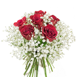 As a dedicated florist serving Bayswater's diverse community, I find a special pleasure in arranging this quintessentially romantic bouquet: a harmonious blend of plush, deep red roses encircled by airy halos of pristine white gypsophila. Each rose is a study in luxurious texture-velvet petals gracefully cupped and tinged with intricate crimson shading-while the baby's breath adds a mist-like softness that tempers the drama of the reds. Formed into a classic, symmetrical dome, the arrangement sits elegantly in a clear glass vase that reveals the bouquet's long, verdant stems-echoing the vitality of Bayswater Road on a bustling afternoon. Illuminated by bright natural light, every element shines, from the dewy rose petals to the delicate gypsophila florets. This bouquet resonates with the neighbourhood's cosmopolitan charm, capturing both the essence of grand celebrations and the intimate moments shared over coffee at Westbourne Grove cafes. A sublime choice for anniversaries or simple acts of heartfelt love, it showcases the craftsmanship and local spirit that define Bayswater's floral artistry.